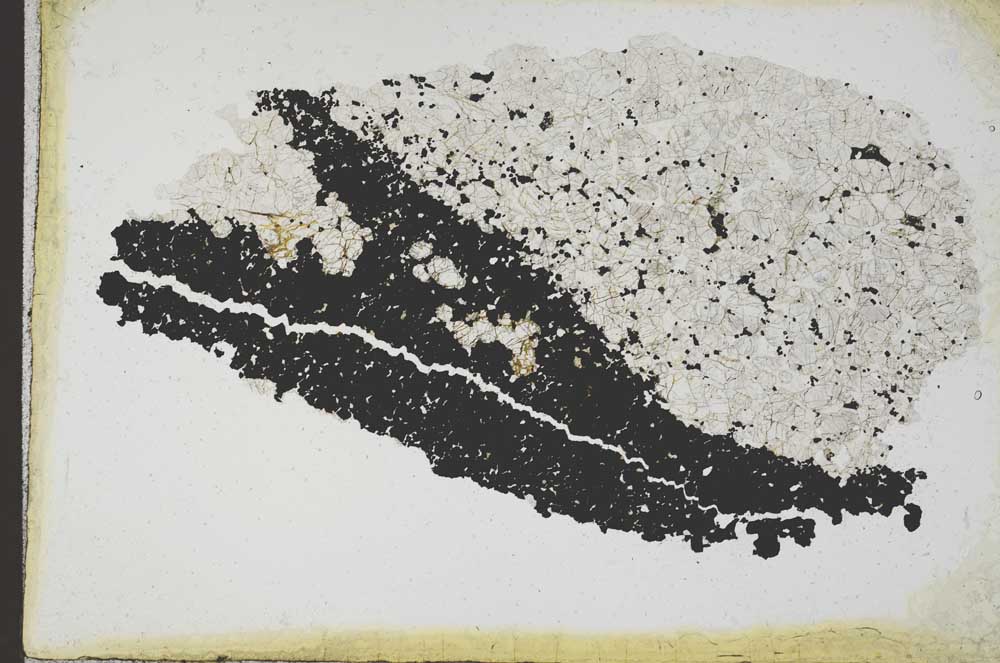 Plane Polarized, S10969
