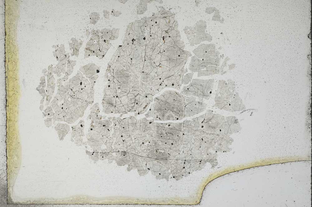 Plane Polarized, S10971