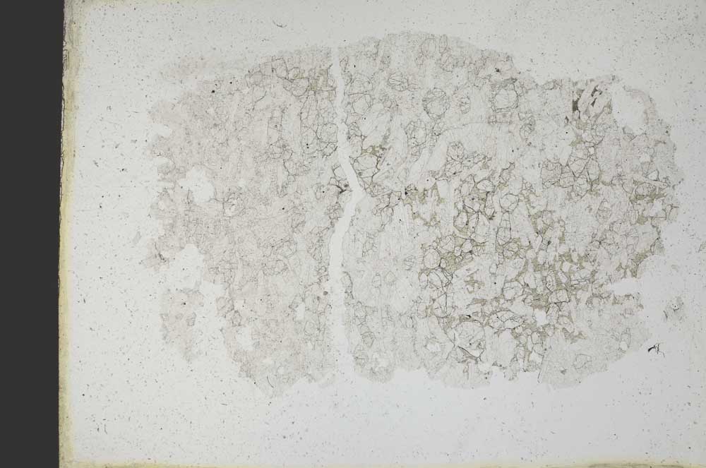 Plane Polarized, S10976
