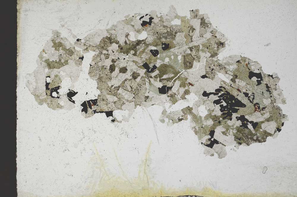 Plane Polarized, S10989
