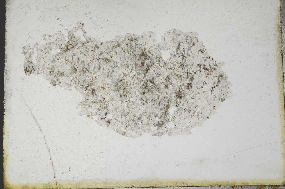 Plane Polarized, S10991