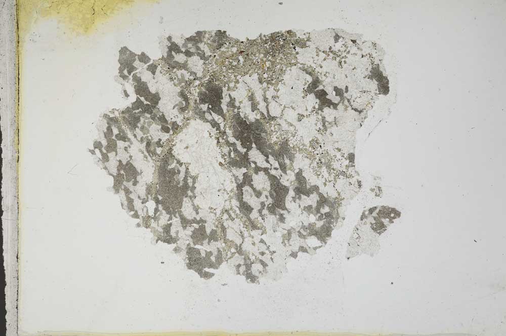 Plane Polarized, S10992