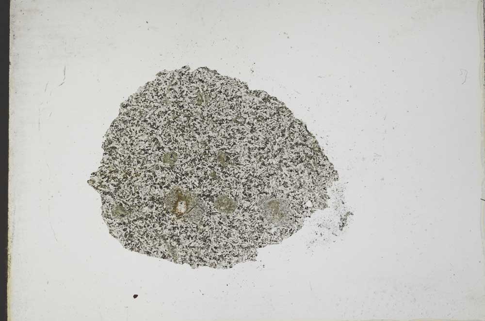 Plane Polarized, S10994