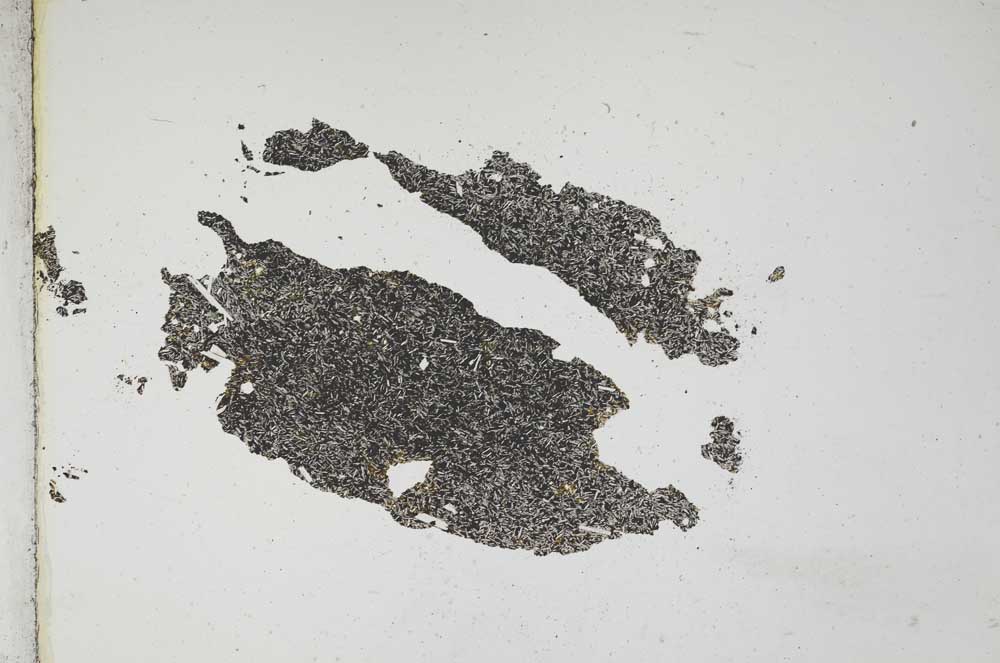 Plane Polarized, S10995