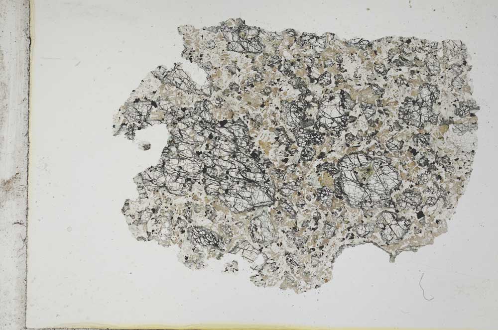 Plane Polarized, S10997