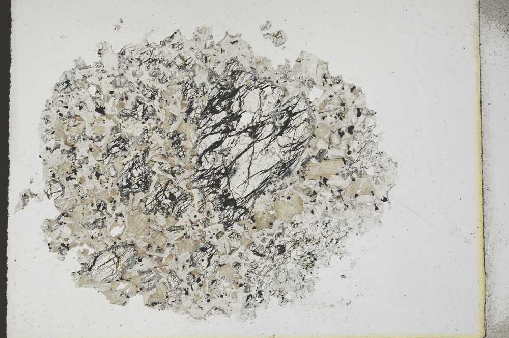 Plane Polarized, S10998