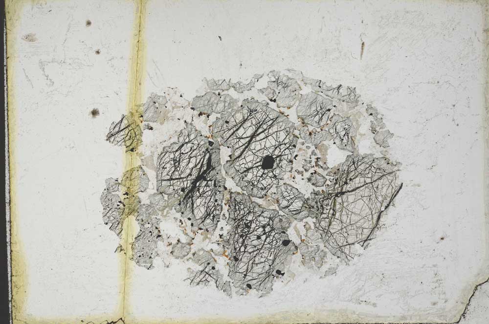 Plane Polarized, S10999