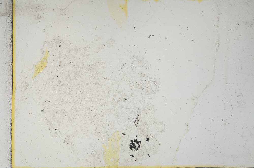 Plane Polarized, S11017/A