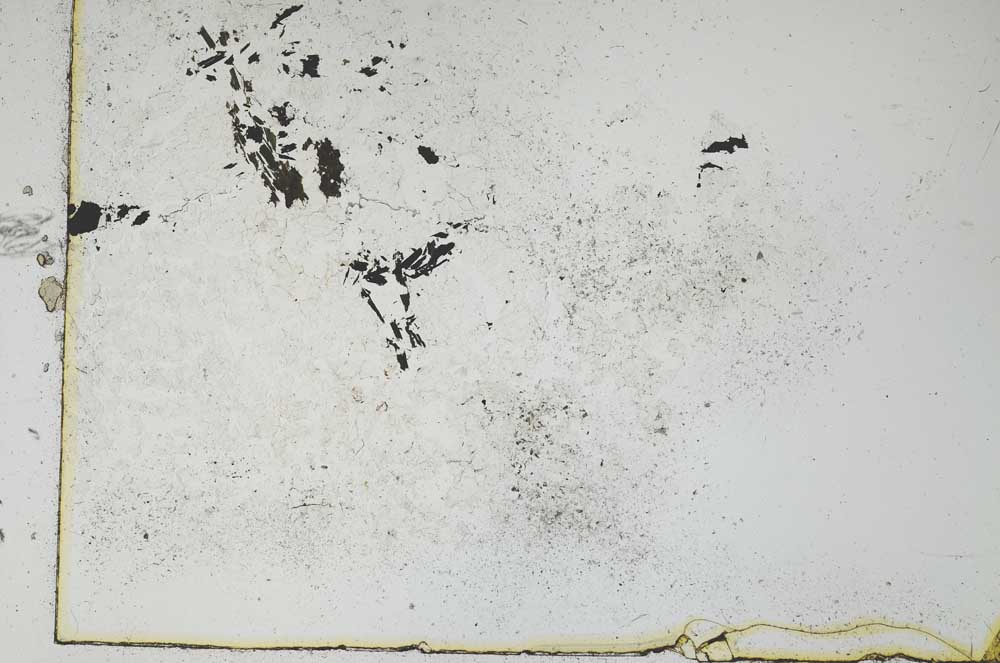 Plane Polarized, S11018