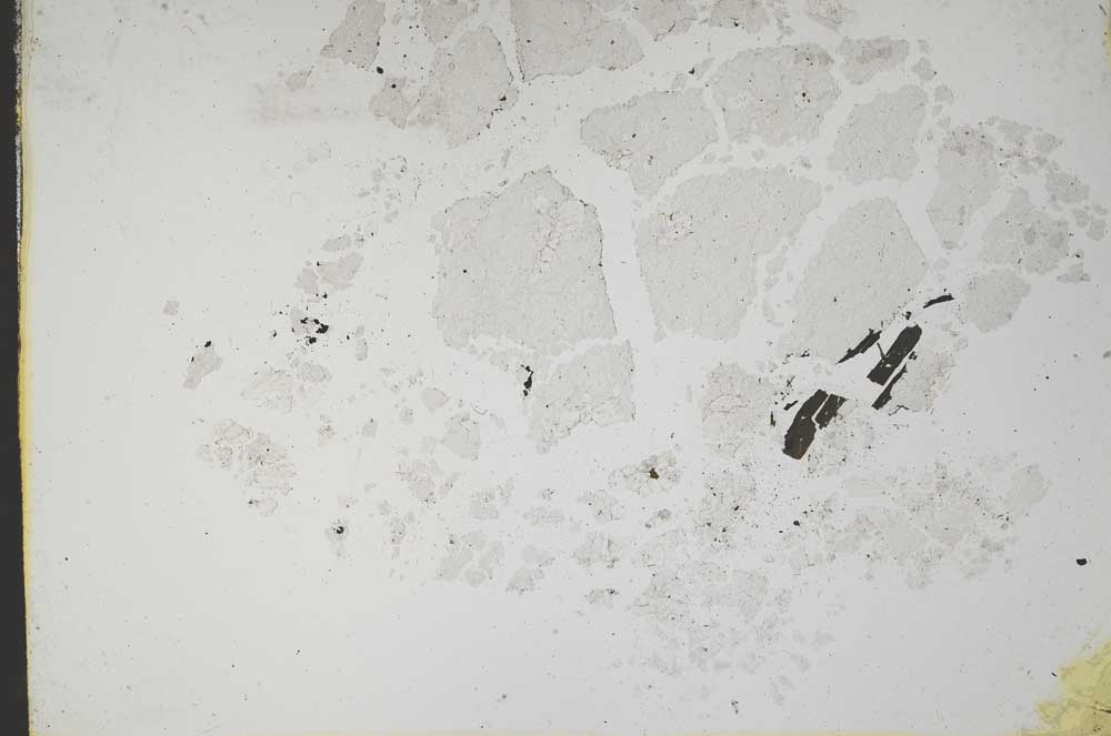 Plane Polarized, S11018/A