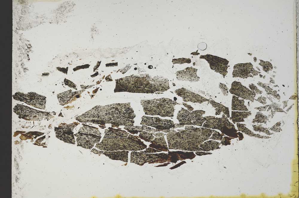 Plane Polarized, S11019