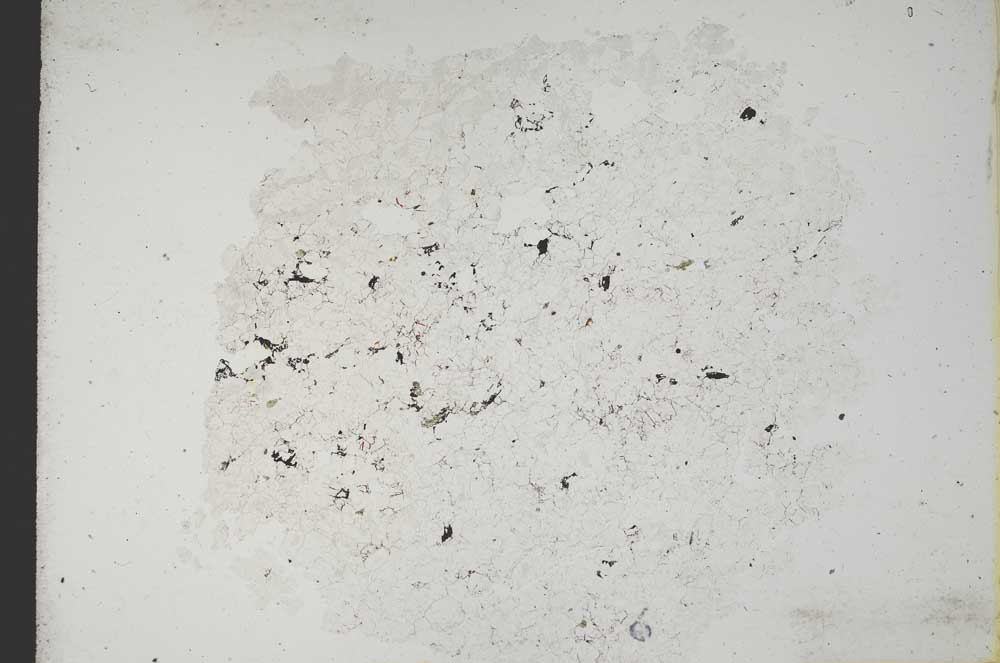 Plane Polarized, S11020