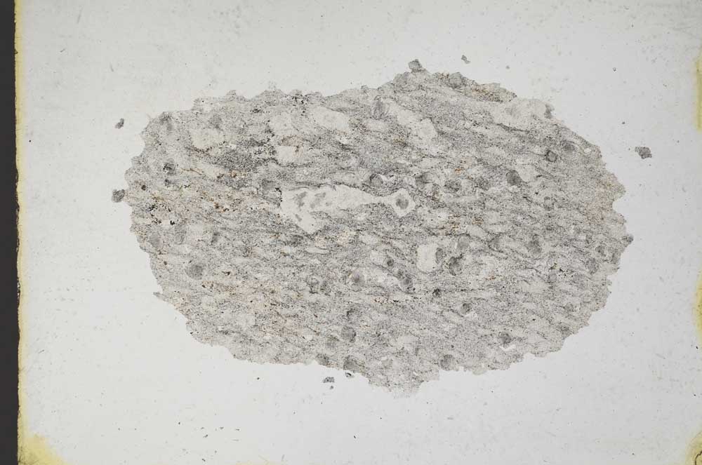 Plane Polarized, S11021