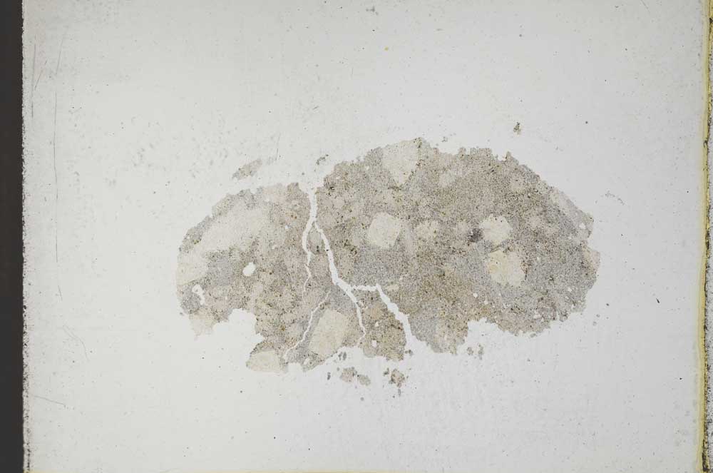 Plane Polarized, S11022