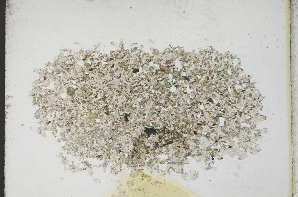 Plane Polarized, S11024