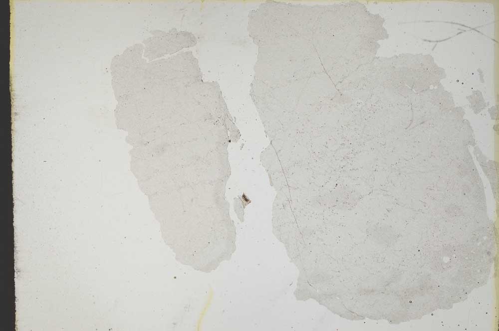 Plane Polarized, S11026