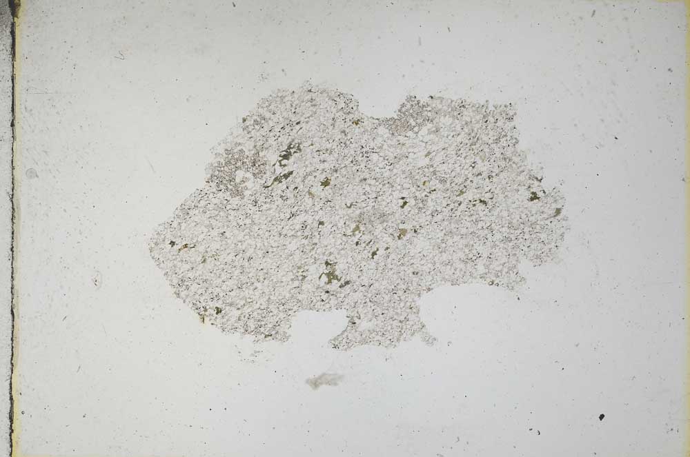 Plane Polarized, S11027