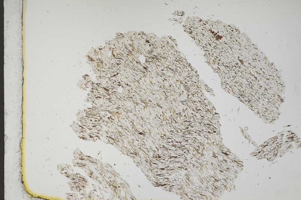 Plane Polarized, S11028