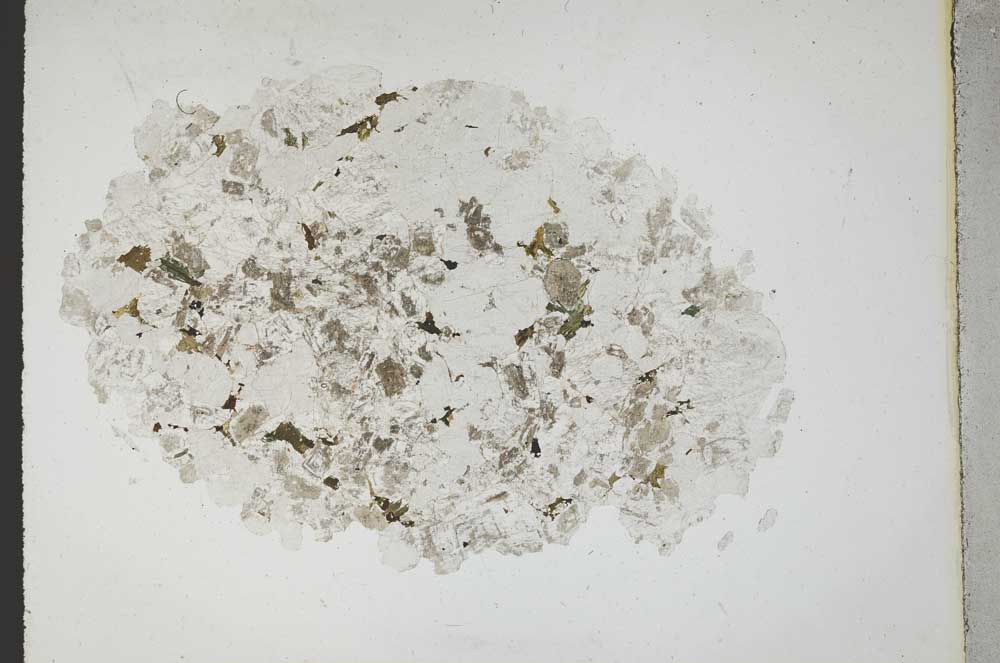 Plane Polarized, S11031