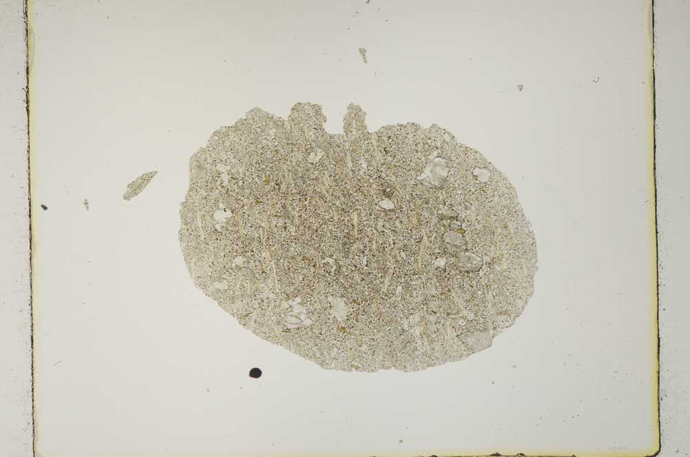 Plane Polarized, S1261/a