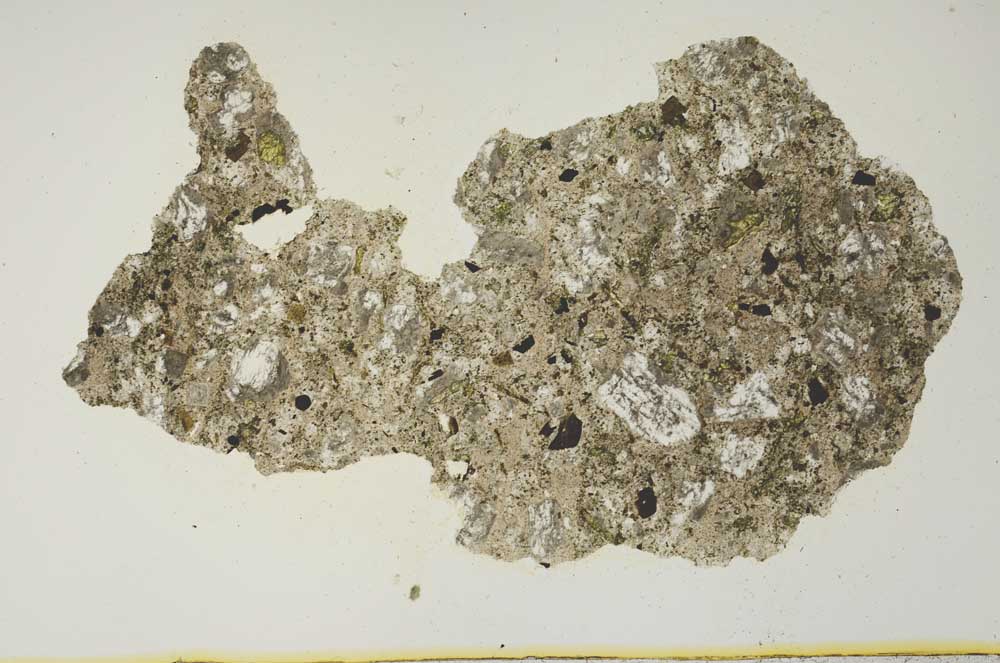 Plane Polarized, S1263