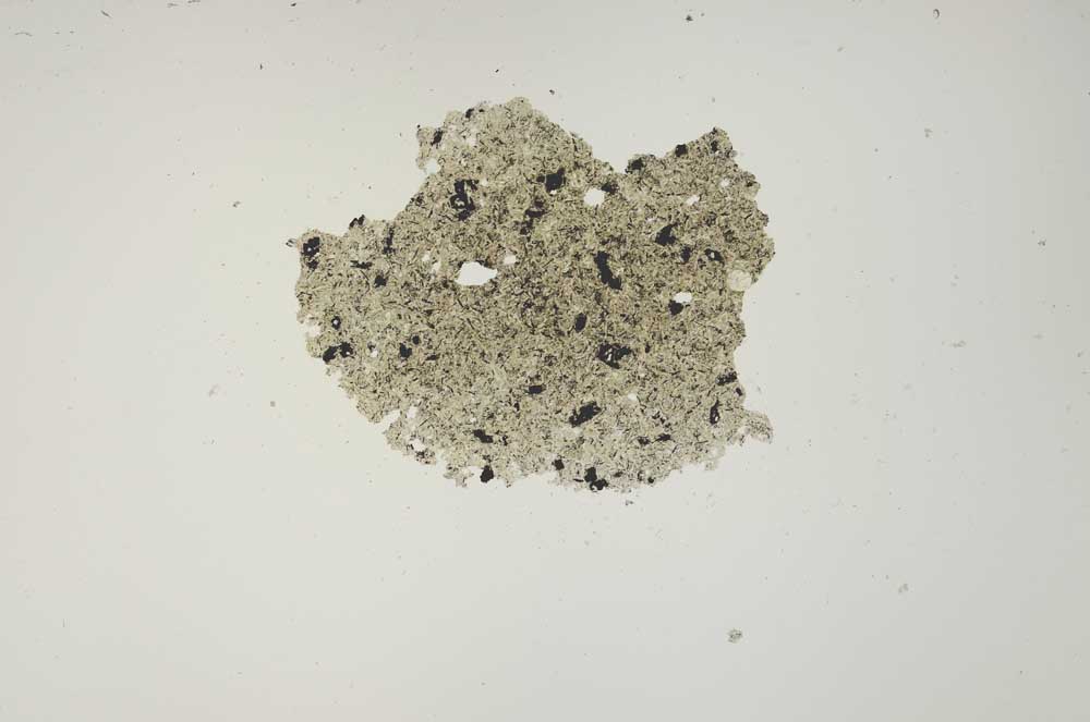 Plane Polarized, S1266