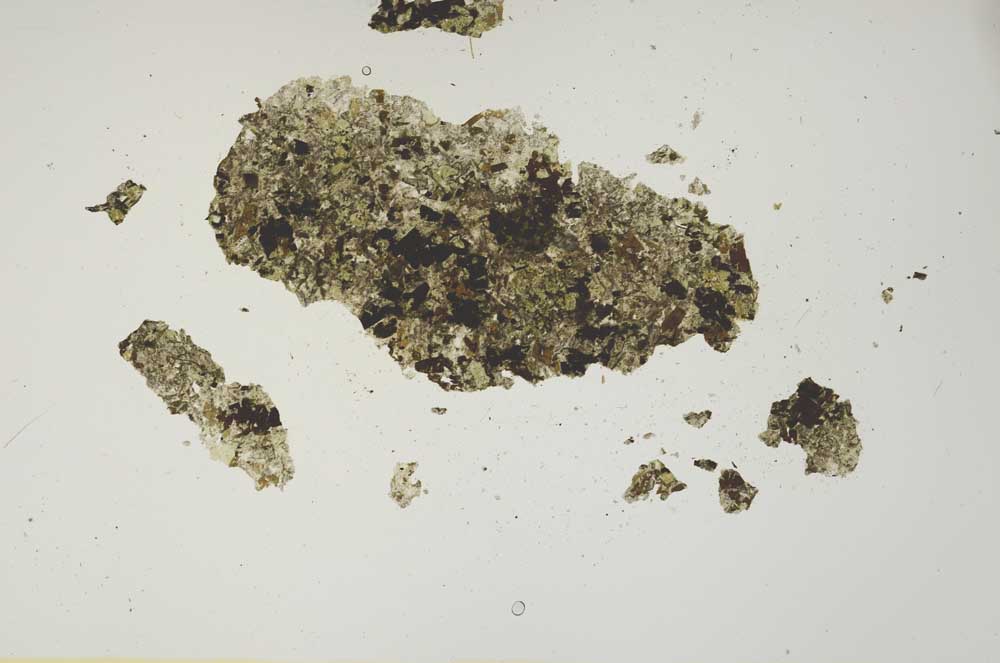 Plane Polarized, S1267