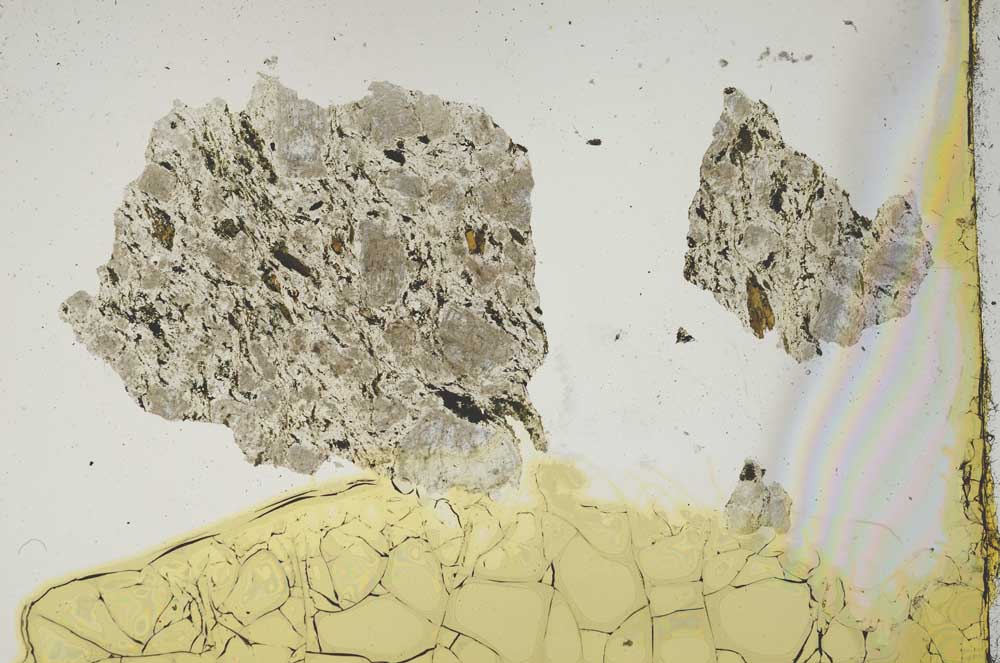 Plane Polarized, S1271