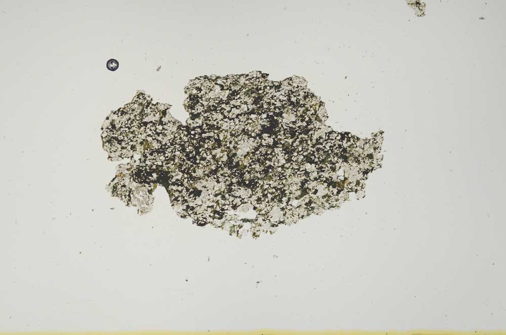 Plane Polarized, S1279