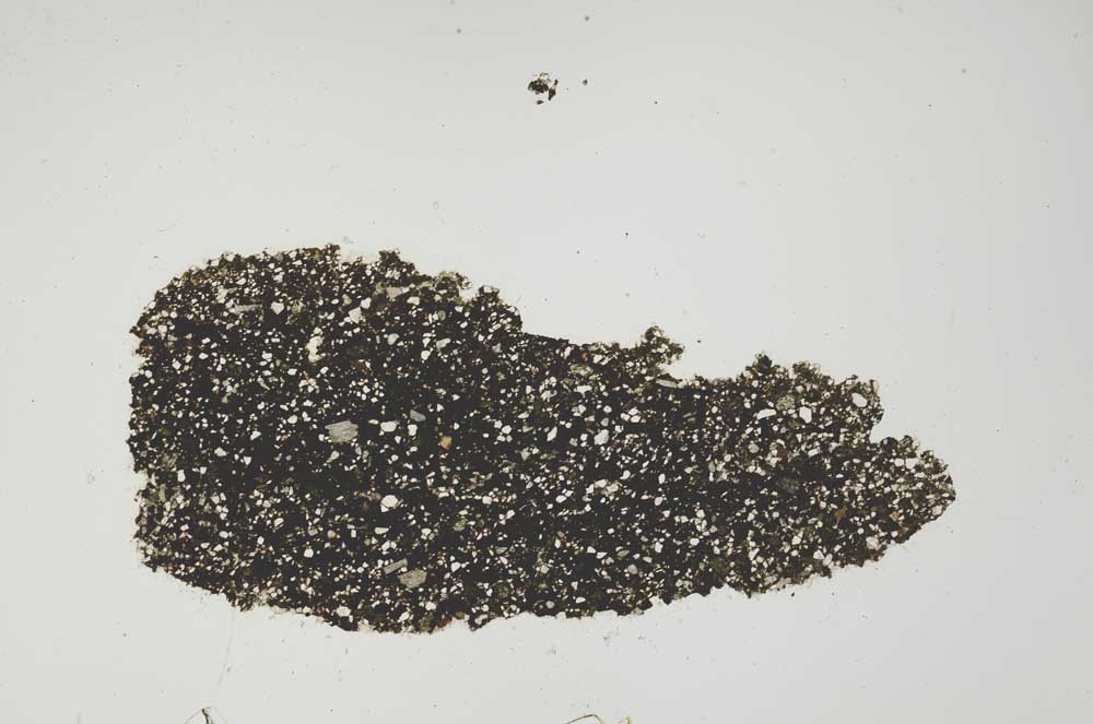 Plane Polarized, S1285