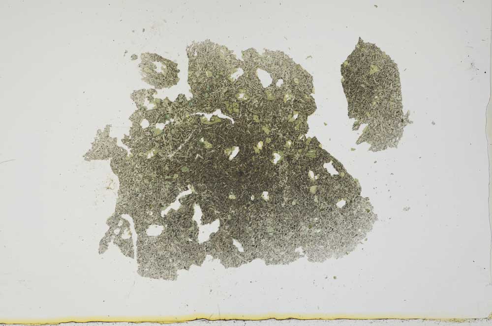 Plane Polarized, S1298
