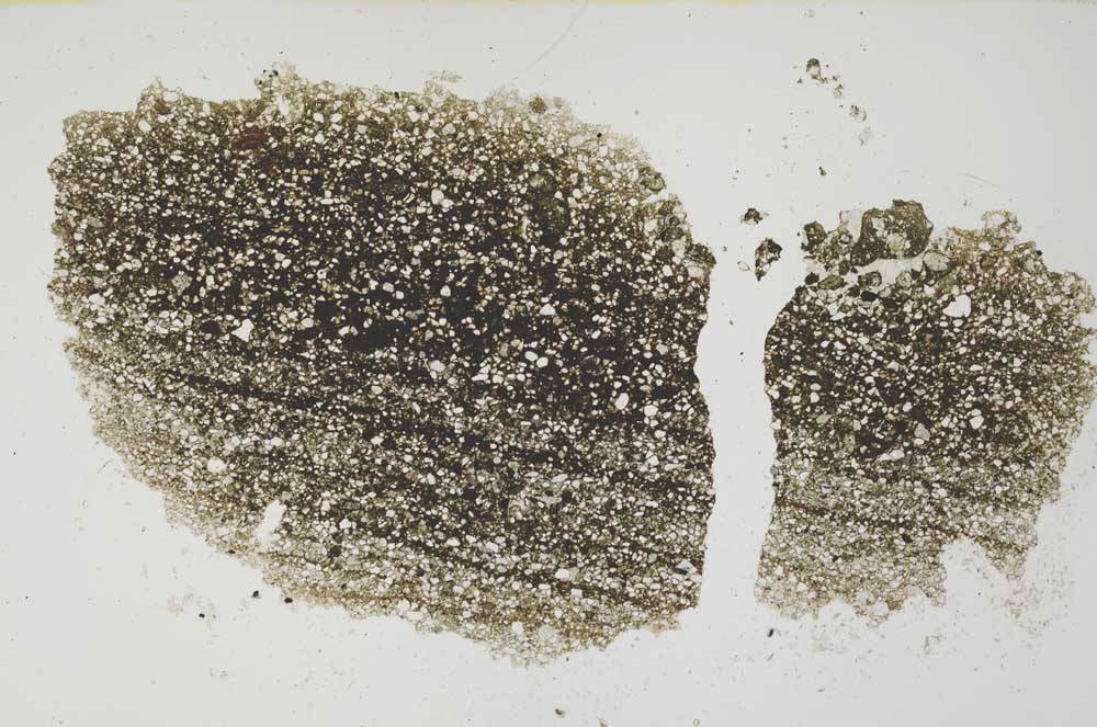 Plane Polarized, S1304