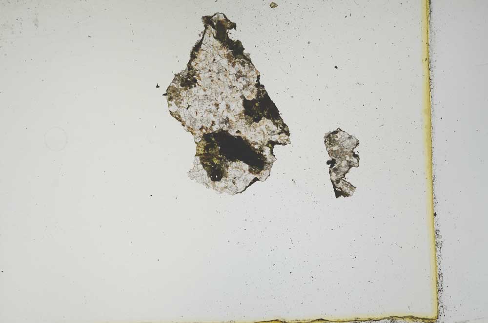 Plane Polarized, S1319