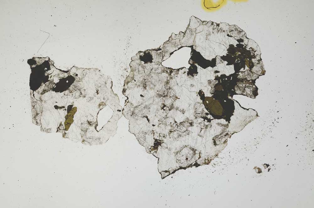 Plane Polarized, S1320