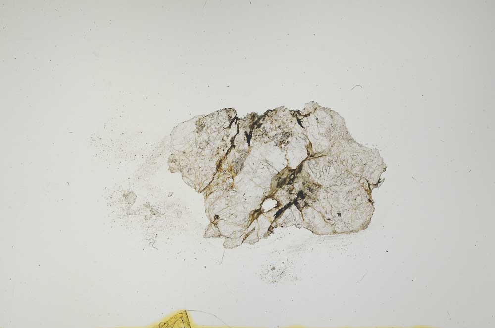 Plane Polarized, S1321