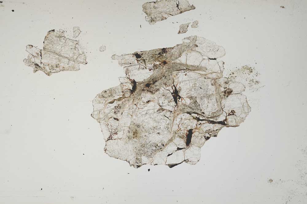 Plane Polarized, S1322