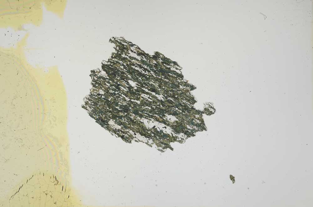 Plane Polarized, S1325