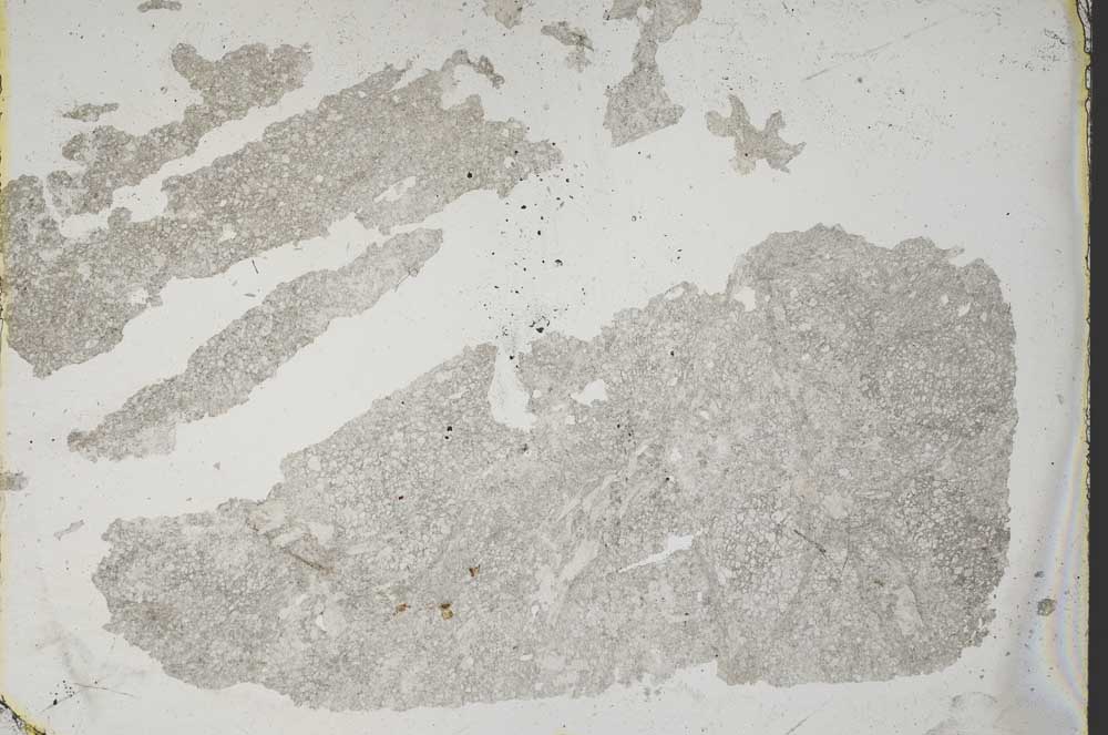 Plane Polarized, S1326/A