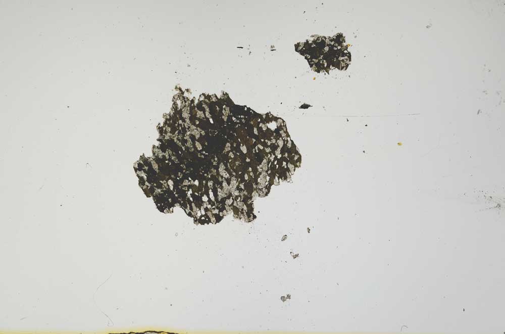 Plane Polarized, S1328