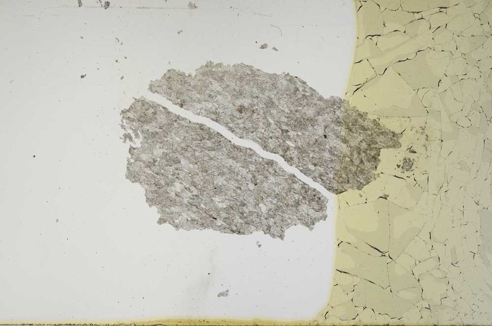Plane Polarized, S1329