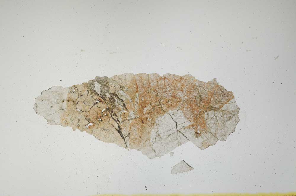 Plane Polarized, S1333