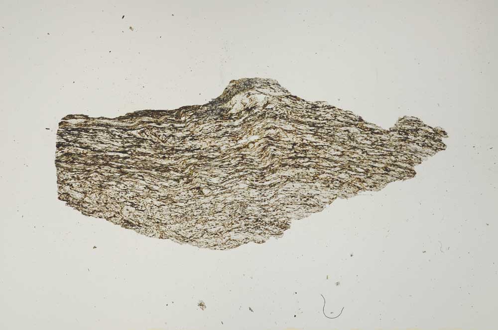 Plane Polarized, S1337