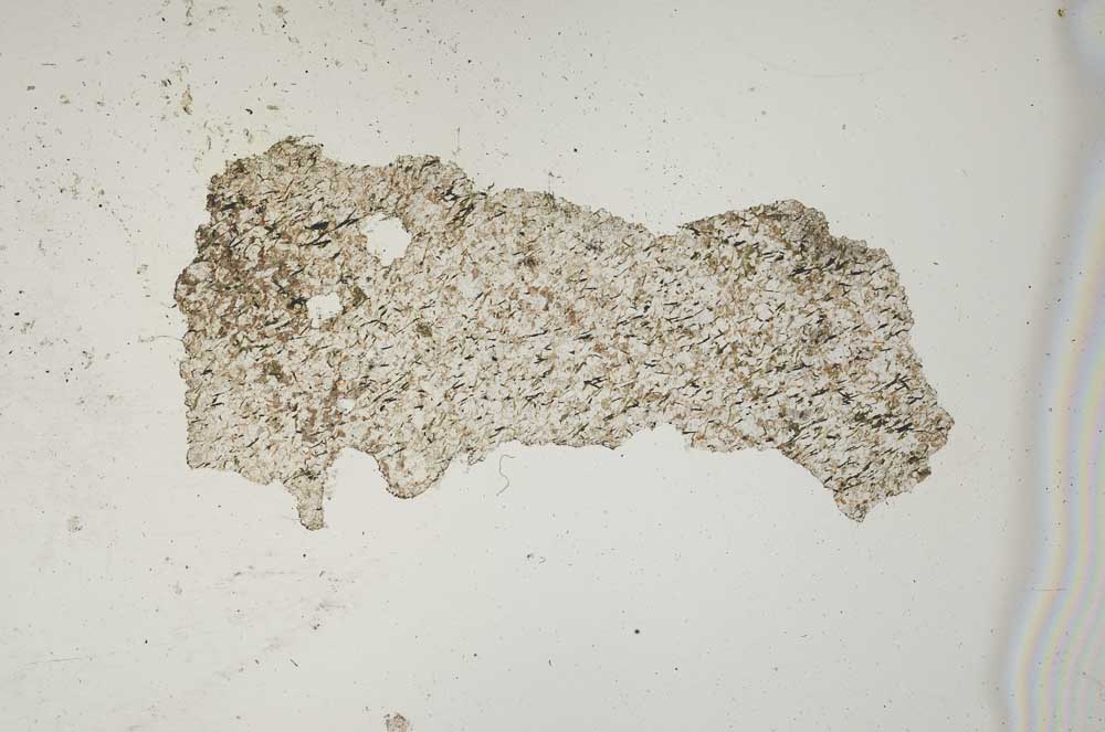 Plane Polarized, S1342