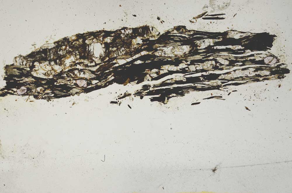 Plane Polarized, S1345