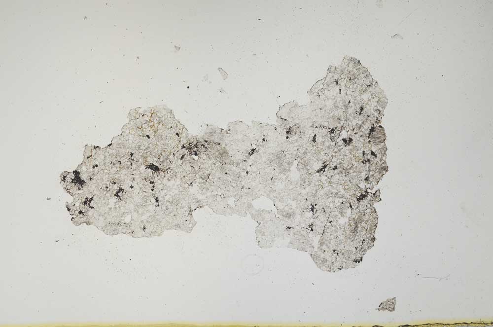 Plane Polarized, S1346