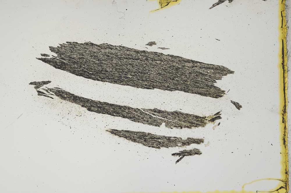 Plane Polarized, S1347