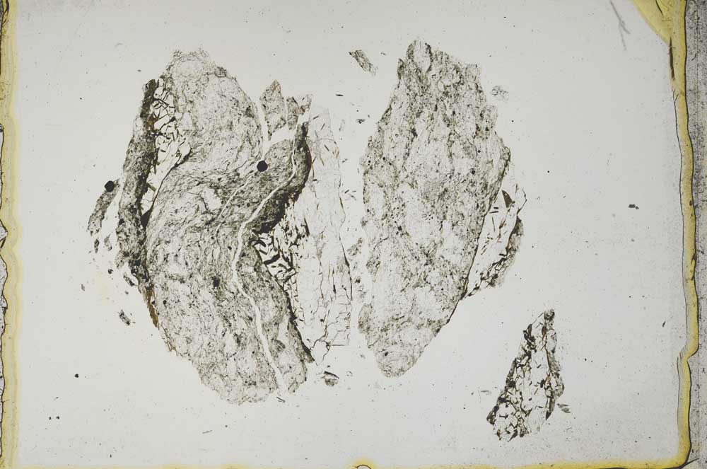 Plane Polarized, S1351