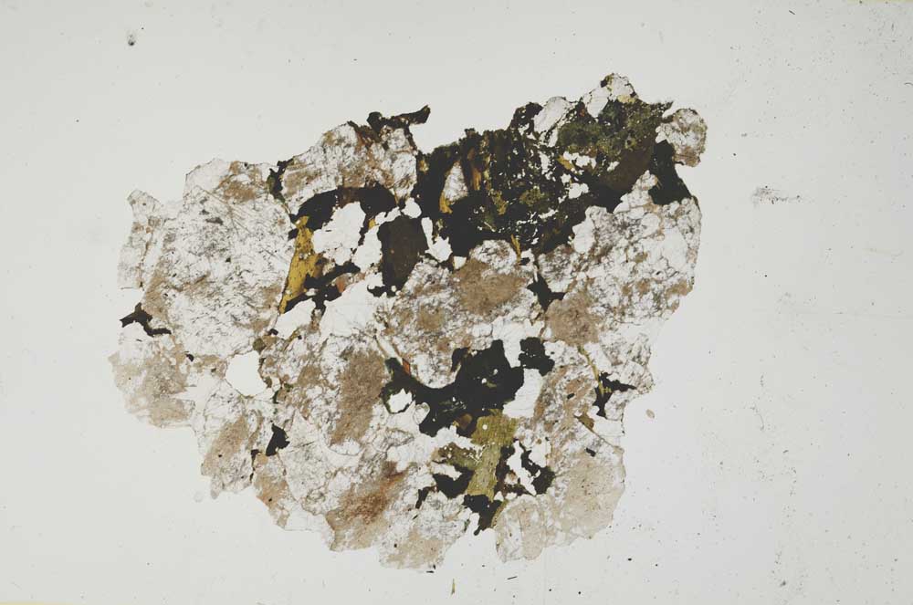 Plane Polarized, S1353