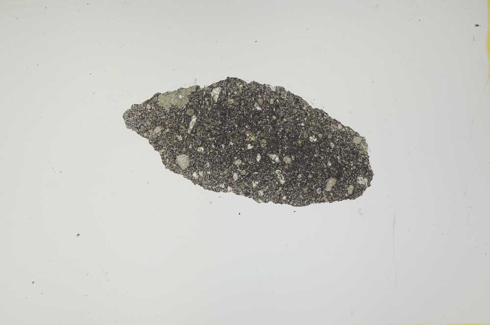 Plane Polarized, S1358