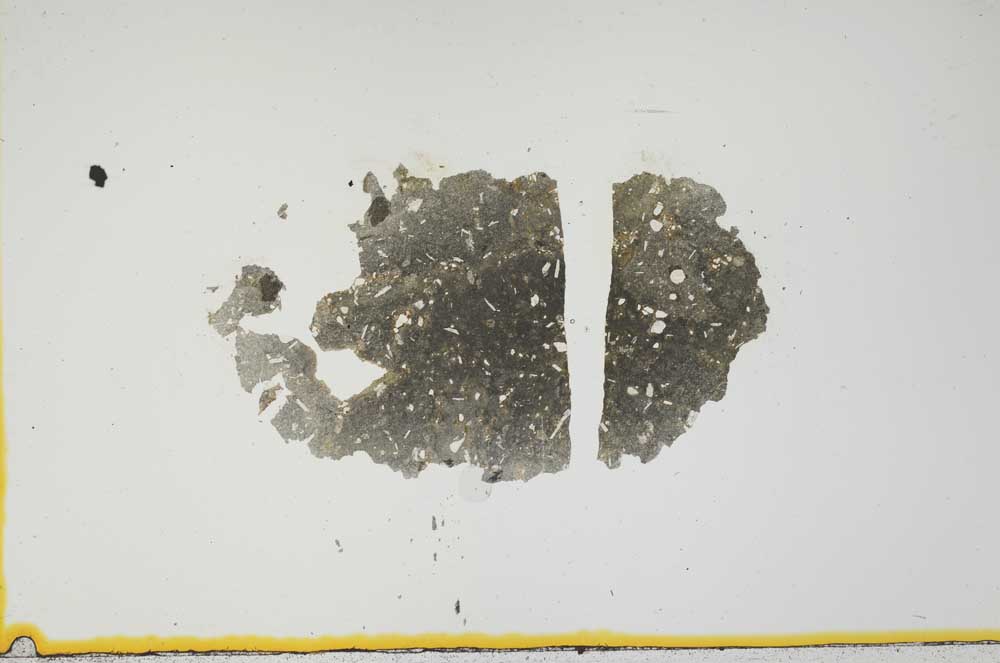 Plane Polarized, S1362